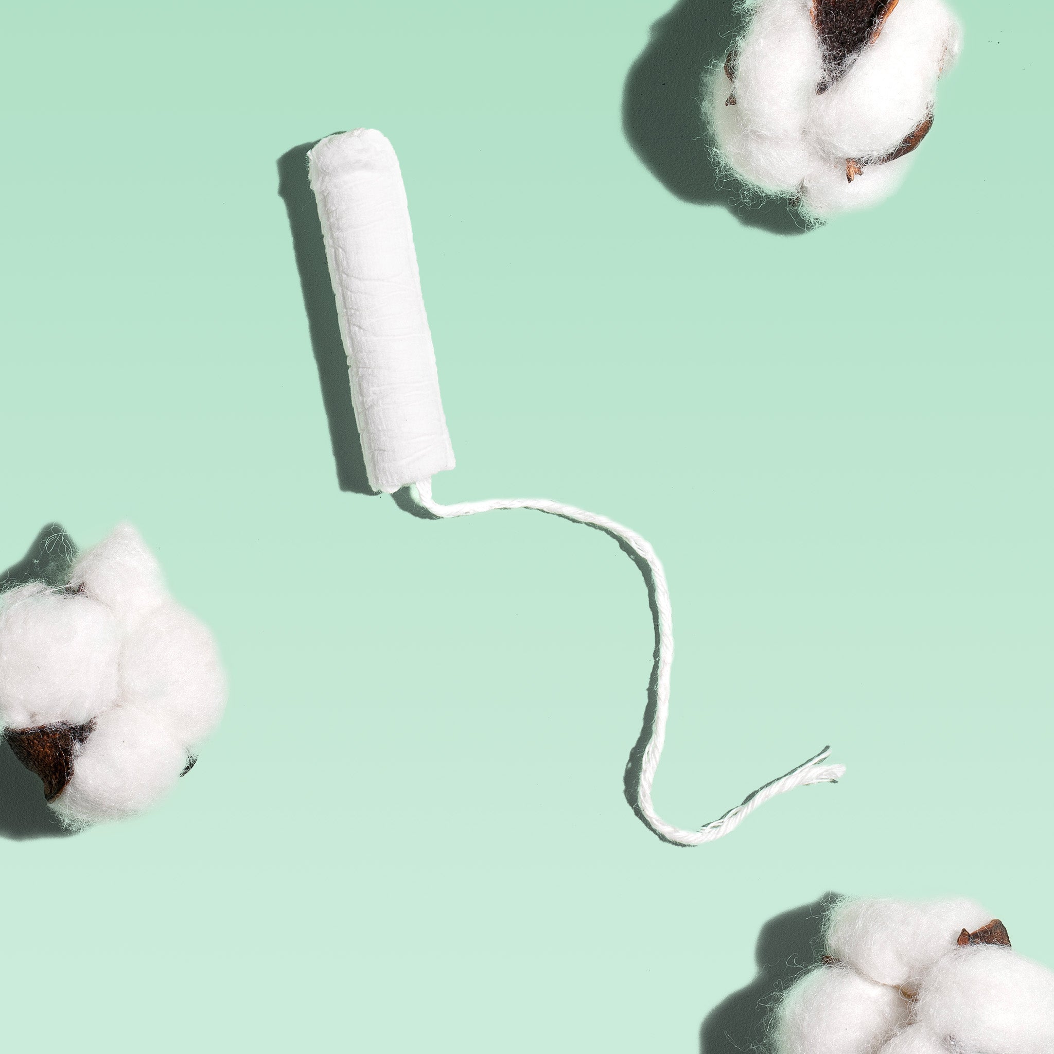 Regular Cardboard Applicator Tampons Made With Organic Cotton P6